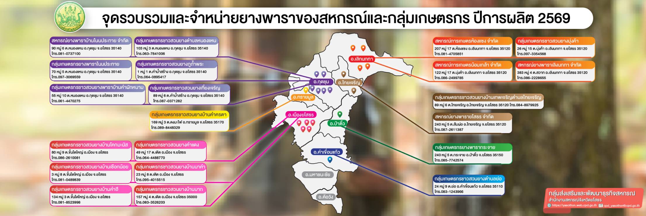 ยางพารา