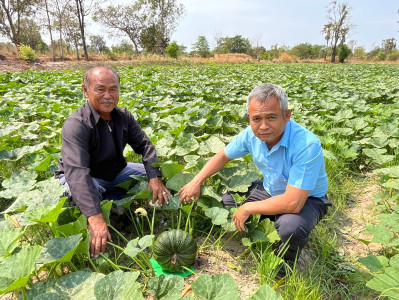 สำนักงานสหกรณ์จังหวัดยโสธร ลงพื้นที่ติดตามและให้คำแนะนำ ... Image 1
