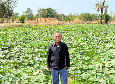 สำนักงานสหกรณ์จังหวัดยโสธร ลงพื้นที่ติดตามและให้คำแนะนำ ... Image 3