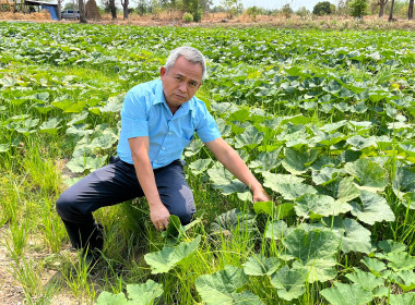 สำนักงานสหกรณ์จังหวัดยโสธร ลงพื้นที่ติดตามและให้คำแนะนำ ... Image 1