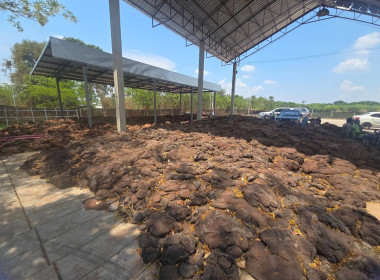 ลงพื้นที่แนะนํา ส่งเสริม ... Image 3