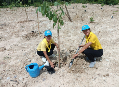 ร่วมกิจกรรมจิตอาสาพัฒนา เนื่องในวันคล้ายวันพระราชสมภพ ... Image 2