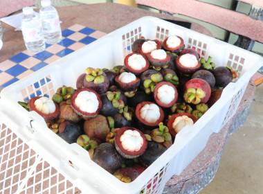 สำนักงานสหกรณ์จังหวัดยโสธร ร่วมกระจายผลผลิตสินค้าเกษตร ... Image 1