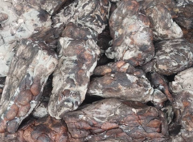 สำนักงานสหกรณ์จังหวัดยโสธร ลงพื้นที่แนะนํา ส่งเสริม ... Image 3