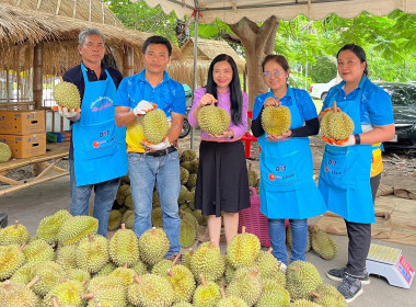 สำนักงานสหกรณ์จังหวัดยโสธร ... Image 1