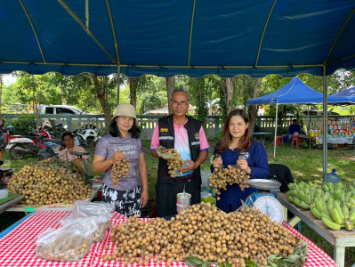 สำนักงานสหกรณ์จังหวัดยโสธร ลงพื้นที่ตรวจเยี่ยมเกษตรกร ... Image 1