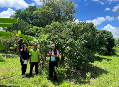 สำนักงานสหกรณ์จังหวัดยโสธร ลงพื้นที่ตรวจเยี่ยมเกษตรกร ... Image 2