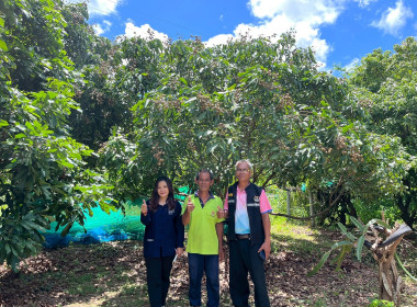 สำนักงานสหกรณ์จังหวัดยโสธร ลงพื้นที่ตรวจเยี่ยมเกษตรกร ... Image 1