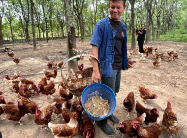 สำนักงานสหกรณ์จังหวัดยโสธร ... Image 2