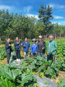 สำนักงานสหกรณ์จังหวัดยโสธร ... Image 1