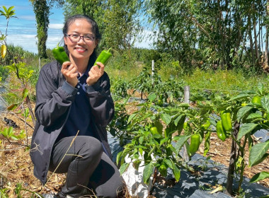 สำนักงานสหกรณ์จังหวัดยโสธร ... Image 2