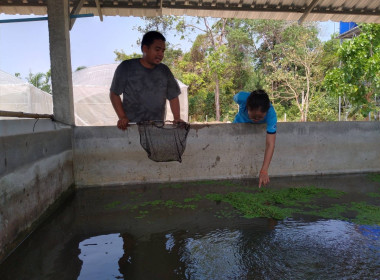 👩‍💼ลงพื้นที่ตรวจเยี่ยมศูนย์เรียนรู้เกษตรอินทรีย์วิถีพอเพียงสหกรณ์การเกษตรกุดชุม จำกัด 🌱 ... Image 9