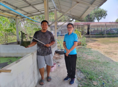 👩‍💼ลงพื้นที่ตรวจเยี่ยมศูนย์เรียนรู้เกษตรอินทรีย์วิถีพอเพียงสหกรณ์การเกษตรกุดชุม จำกัด 🌱 ... Image 6