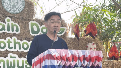 สำนักงานสหกรณ์จังหวัดยโสธร ร่วมกิจกรรมงาน Green Gain Day ... Image 1