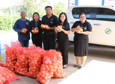 สำนักงานสหกรณ์จังหวัดยโสธรใช้กลไกขบวนการสหกรณ์เเละกลุ่มเกษตรกรกระจายผลผลิตสินค้าเกษตร (หอมหัวใหญ่) ... Image 1