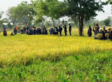 สำนักงานสหกรณ์จังหวัดยโสธร ... Image 2