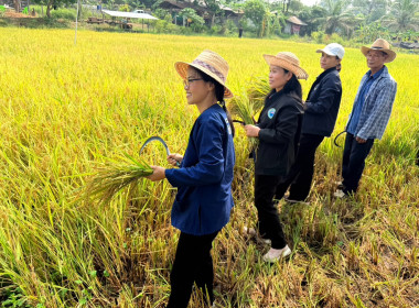 สำนักงานสหกรณ์จังหวัดยโสธร ... Image 1