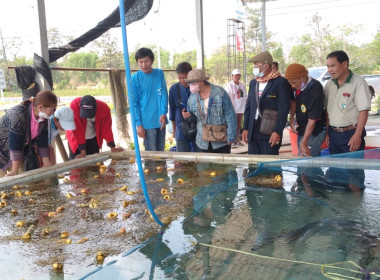 🧑🏻‍🏫👨🏻‍🌾 ศึกษาดูงานโครงการตามแผนปฏิบัติราชการ ... Image 9