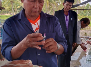 🧑🏻‍🏫👨🏻‍🌾 ศึกษาดูงานโครงการตามแผนปฏิบัติราชการ ... Image 7