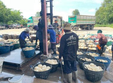สำนักงานสหกรณ์จังหวัดยโสธร ลงพื้นที่ แนะนำ ส่งเสริม ... Image 2