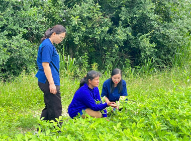 สำนักงานสหกรณ์จังหวัดยโสธร ลงพื้นที่แนะนำ ส่งเสริม ... Image 3