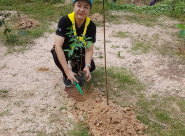 สำนักงานสหกรณ์จังหวัดยโสธร ร่วมกิจกรรมจิตอาสาพัฒนา ... Image 3