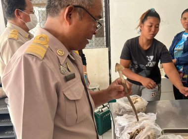 ลงพื้นที่ตรวจเยี่ยมสหกรณ์การเกษตรในโครงการพัฒนาพื้นที่บริเวณหนองอึ่งอันเนื่องมาจากพระราชดำริ จำกัด ... Image 6