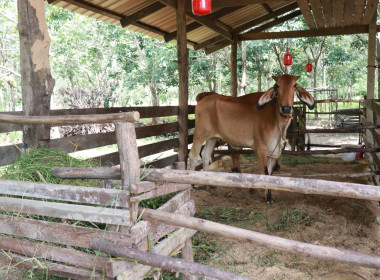 ลงพื้นที่ขับเคลื่อนการส่งเสริมพัฒนาอาชีพและการตลาดตามนโยบาย ... Image 6