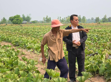 วันที่ 19 มีนาคม 2567 ... Image 1