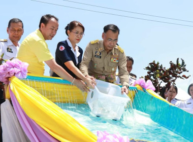 ร่วมพิธีปล่อยพันธุ์สัตว์น้ำ เนื่องในวันเฉลิมพระชนมพรรษา 46 ... Image 2