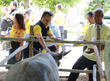 พิธีมอบกรรมสิทธิ์และไถ่ชีวิตโค-กระบือ ... Image 1