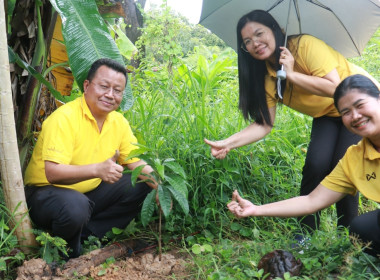 ทำกิจกรรมบำเพ็ญสาธารณประโยชน์ ทำความสะอาดวัดในจังหวัดยโสธร Image 4