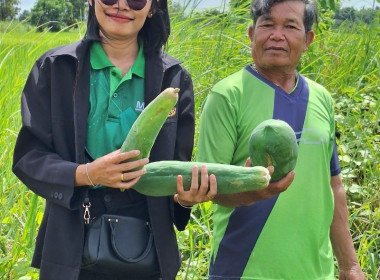 ติดตามการส่งเสริมอาชีพภายใต้โครงการสนับสนุนเงินทุนเพื่อสร้างระบบน้ำในไร่นาของสมาชิกสถาบันเกษตรกร ระยะที่ 2 ... Image 1