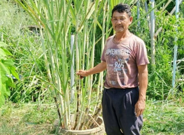 ลงพื้นที่ติดตามการดำเนินงานโครงการตามแผนปฏิบัติราชการประจำปีของจังหวัด ประจำปีงบประมาณ พ.ศ. 2567 ... Image 3