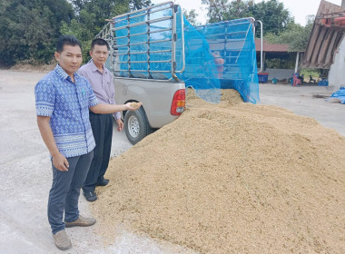 เข้าตรวจติดตามแนะนำการดำเนินธุรกิจรวบรวมผลผลิตข้าวเปลือกนาปี ปีการผลิต 2567/68 สหกรณ์การเกษตรป่าติ้ว จำกัด ... Image 1