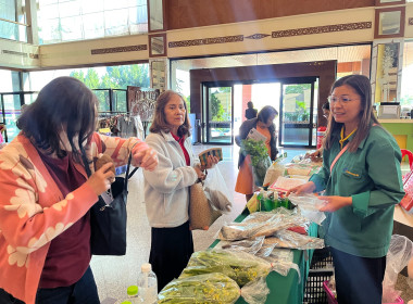 กิจกรรมส่งเสริมการตลาดและเชื่อมโยงเครือข่ายสินค้าสหกรณ์/กลุ่มเกษตรกร และกลุ่มอาชีพ ภายใต้โครงการส่งเสริมการแปรรูปสินค้าเกษตร และโครงการพัฒนาผลิตภัณฑ์ชุมชนของสถาบันเกษตรกรและสมาชิก ประจำปีงบประมาณ พ.ศ.2568 ... Image 3